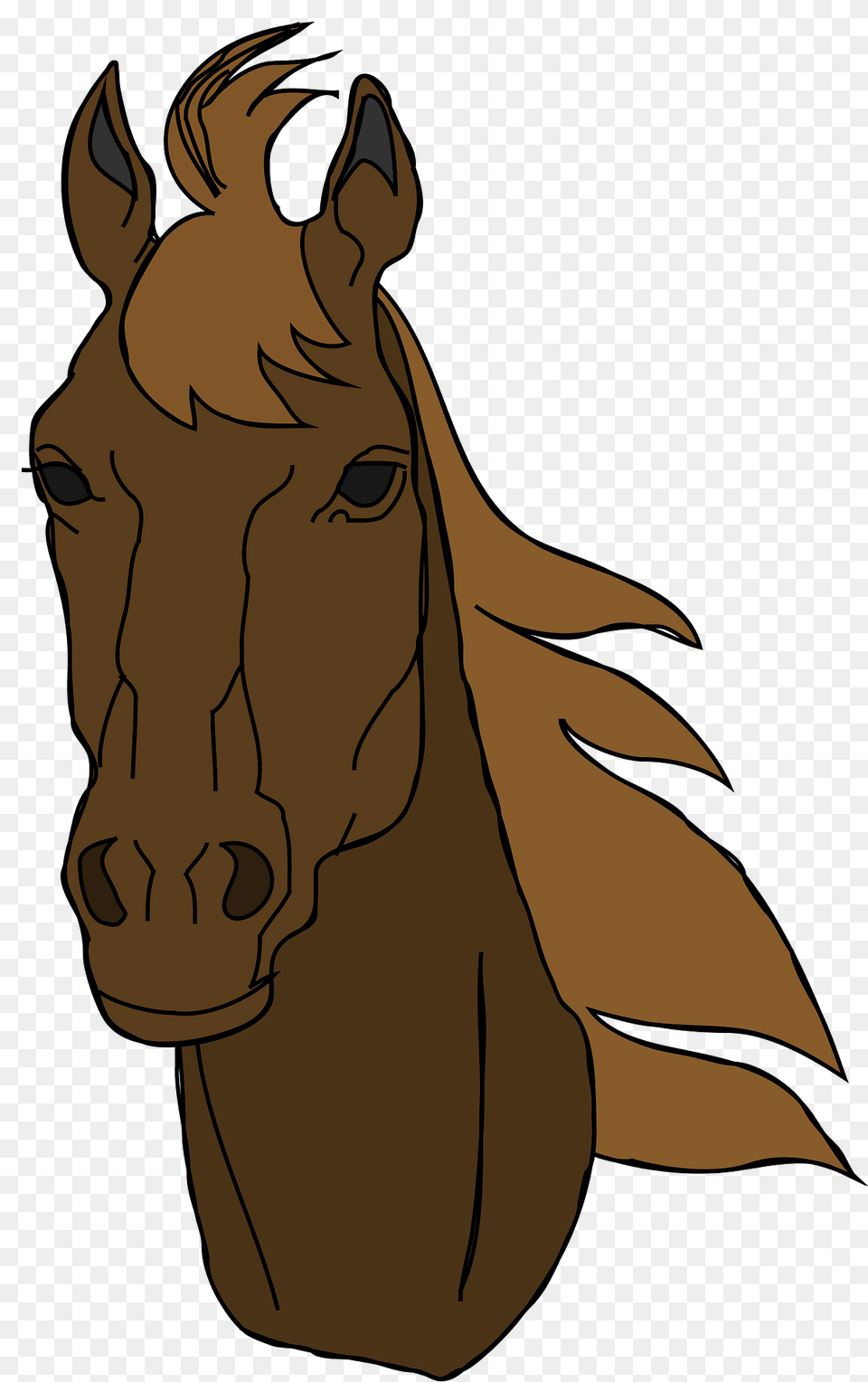 Horse Clipart, Animal, Colt Horse, Mammal, Person Png Image