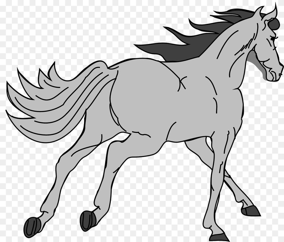 Horse Clipart, Animal, Mammal, Person, Colt Horse Png Image