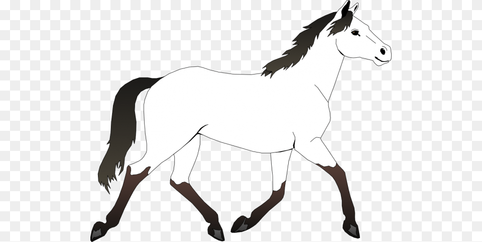 Horse Clipart Black And White Nice Clip Art, Animal, Mammal, Adult, Female Free Png Download