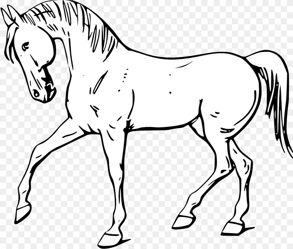 Horse Clipart Black And White Outline, Animal, Mammal, Adult, Person Png