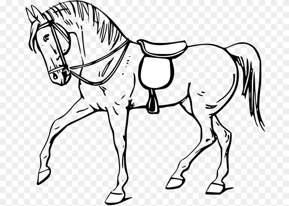 Horse Clipart Black And White Outline Pictures Of Horse, People, Person, Clothing, Hat Png