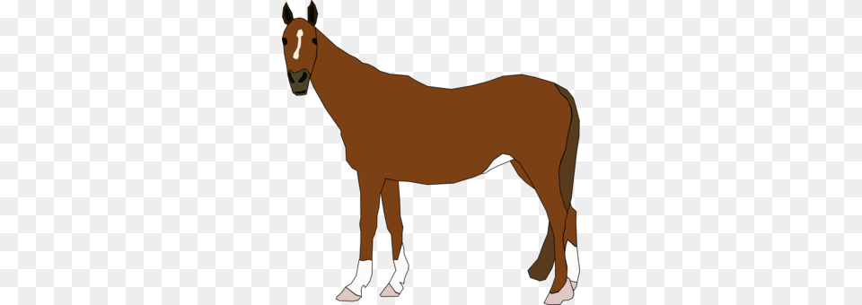Horse Clipart Person, Animal, Mammal, Colt Horse Free Png Download