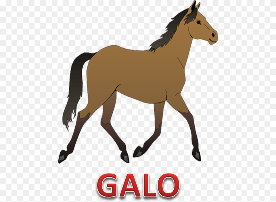 Horse Clipart Transparent Background, Animal, Colt Horse, Mammal, Antelope Png