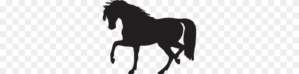 Horse Clipart Transparent Background, Person, Animal, Mammal, Colt Horse Png Image