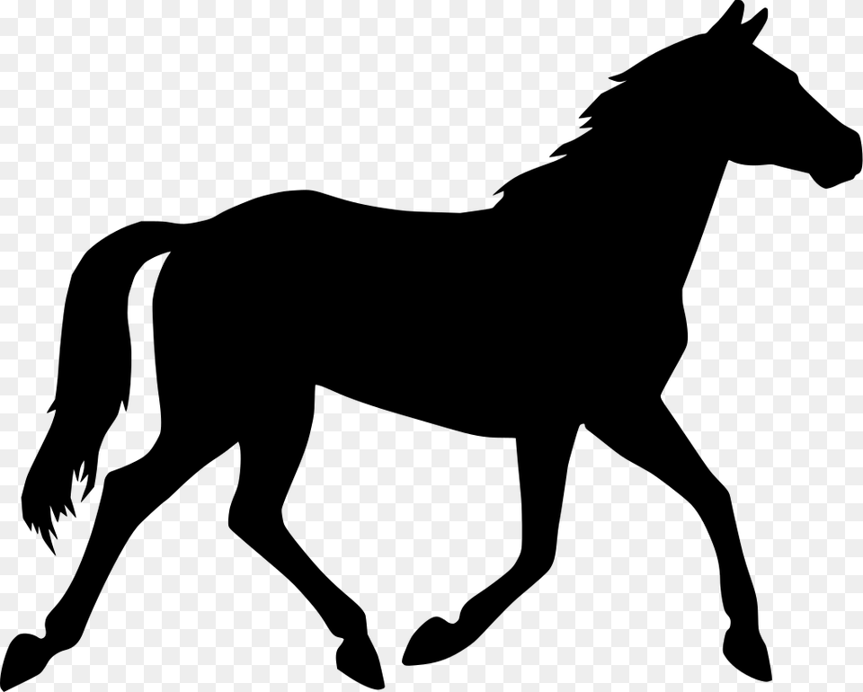 Horse Clipart Transparent Background, Gray Free Png