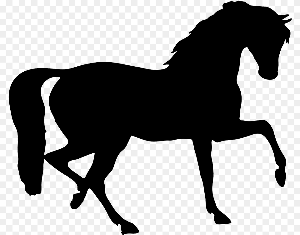 Horse Clipart Transparent Horse Running Gif, Silhouette, Animal, Mammal, Colt Horse Png Image