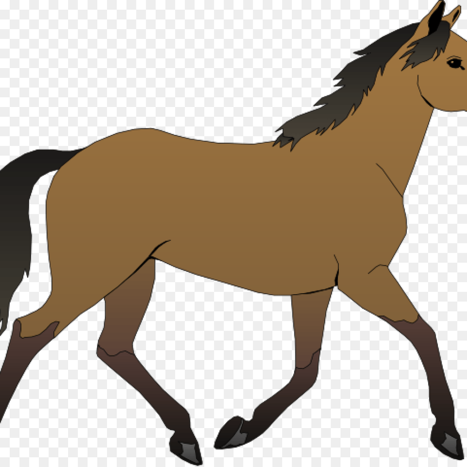 Horse Cliparts Clipart, Animal, Colt Horse, Mammal, Person Free Png