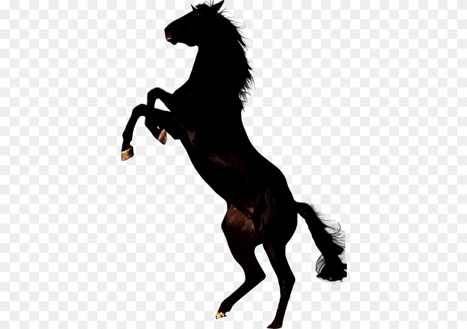Horse Cliparts Silhouette, Adult, Male, Man Free Transparent Png
