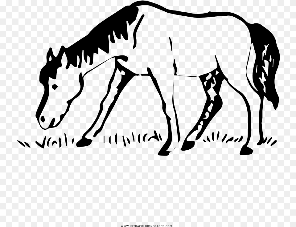 Horse Coloring, Gray Png