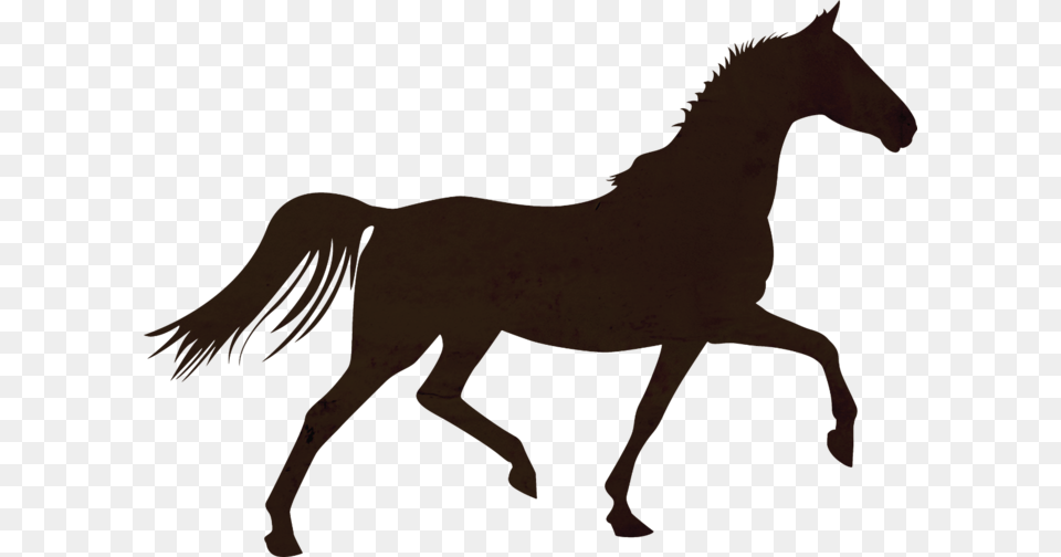 Horse Colt Foal Stallion Mare Horse Trotting Silhouette, Animal, Colt Horse, Mammal Png Image