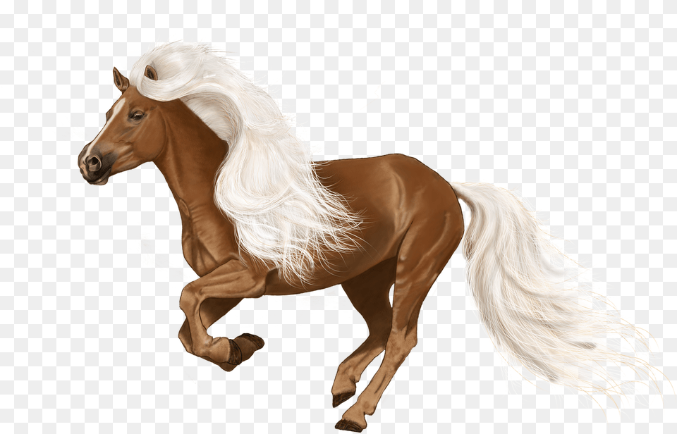 Horse Digital Art, Animal, Mammal, Colt Horse, Stallion Png