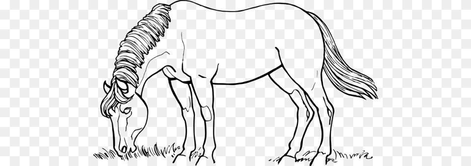 Horse Drawing Black And White Black And White Horse Clip Art Black And White, Gray Png Image