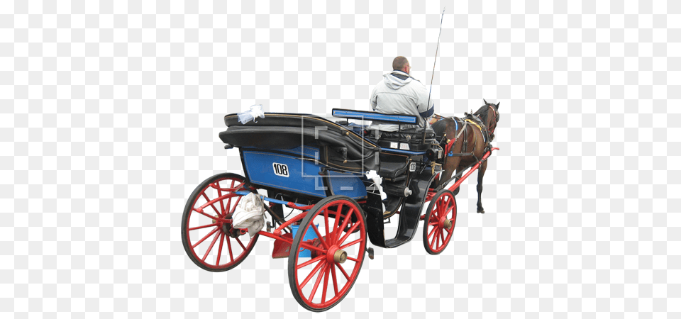 Horse Drawn Carriage, Wagon, Vehicle, Transportation, Adult Free Png Download