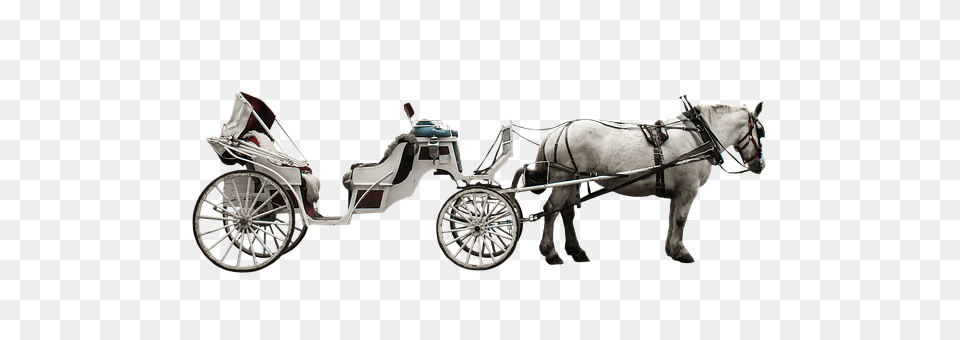 Horse Drawn Carriage Vehicle, Transportation, Animal, Mammal Free Png Download