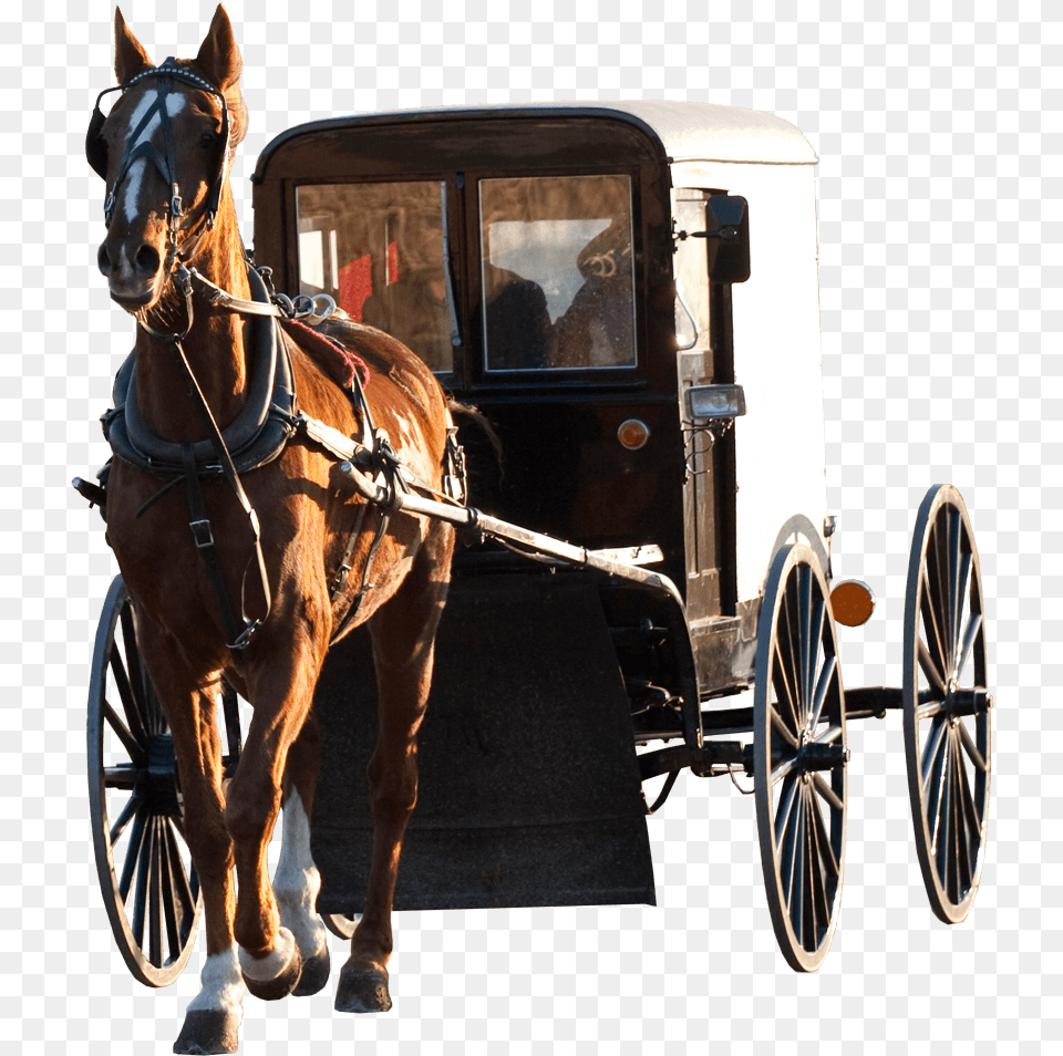Horse Drawn Carriage Modern, Machine, Spoke, Wheel, Vehicle Free Png Download