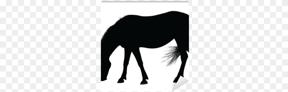 Horse Eating Grass Silhouette, Animal, Mammal, Canine, Dog Free Transparent Png