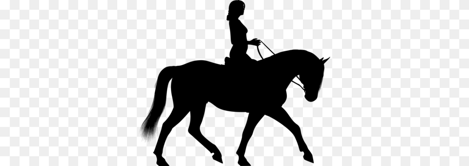 Horse Equestrian Drawing Computer Icons Trail, Gray Png