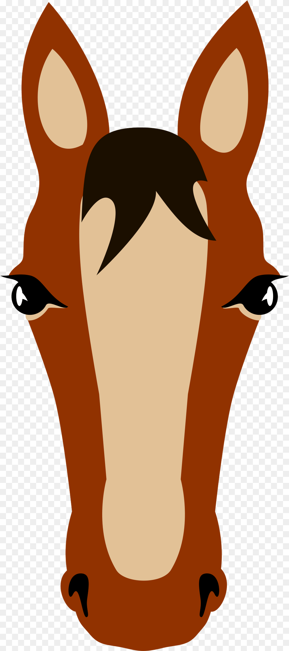 Horse Face Cara De Caballo Dibujo, Animal, Colt Horse, Mammal, Snout Png