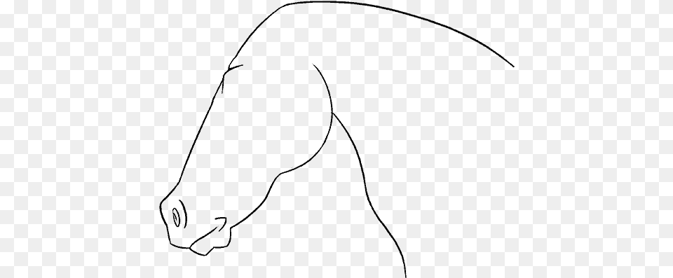 Horse Face Drawing Line Art, Gray Png Image