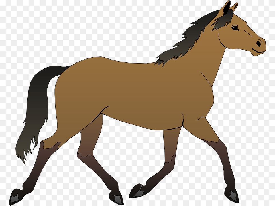 Horse Free Vector 4vector Horse Clipart, Animal, Colt Horse, Mammal, Person Png Image