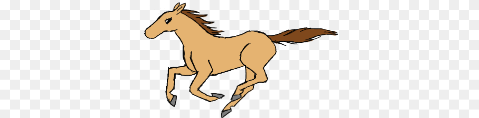 Horse Gallop, Animal, Colt Horse, Mammal, Kangaroo Free Transparent Png