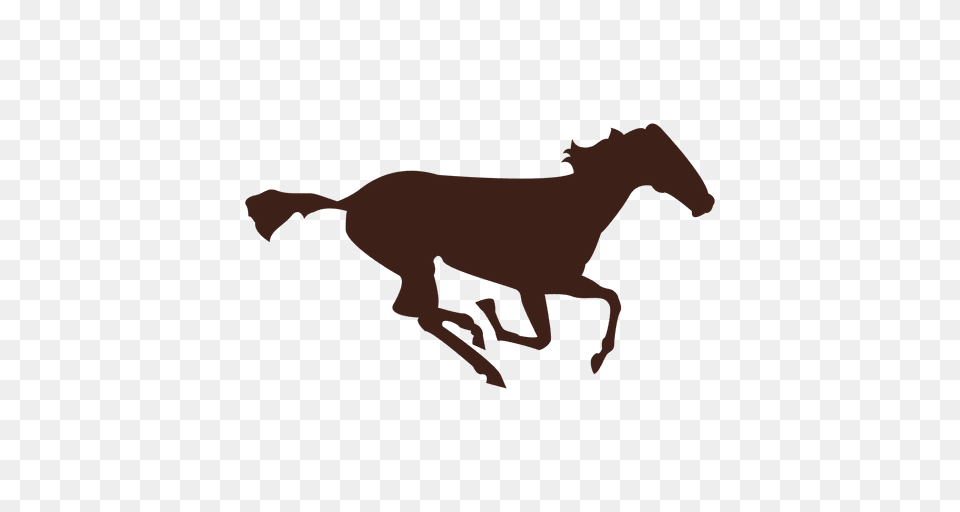 Horse Galloping Motion Sequence, Animal, Mammal, Colt Horse, Silhouette Free Png