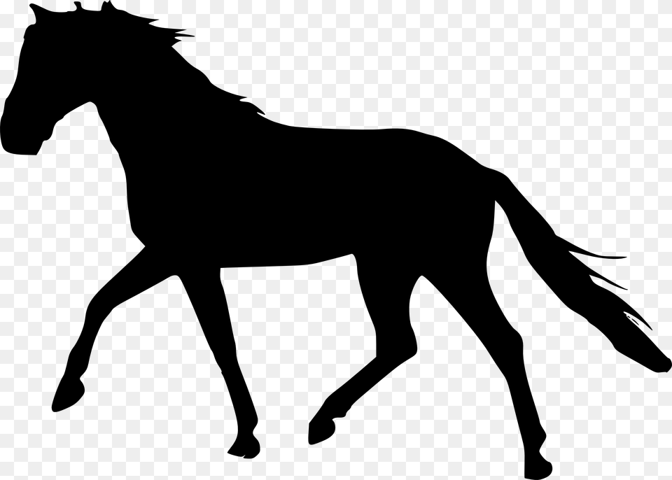 Horse Gif Silhouette, Animal, Mammal, Kangaroo Free Transparent Png