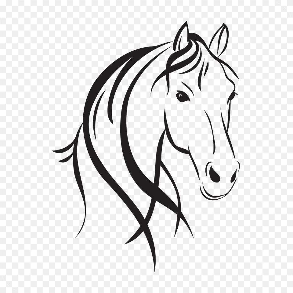Horse Head, Stencil, Art, Drawing, Animal Png Image