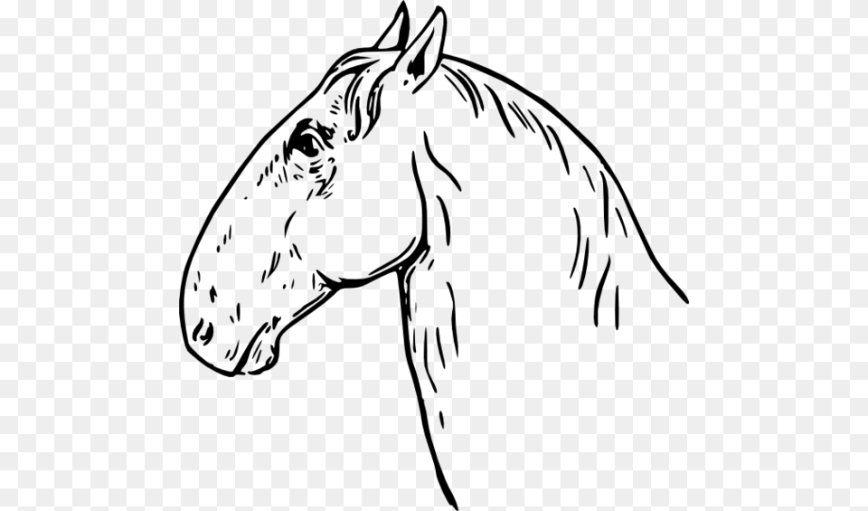 Horse Head Clip Art, Gray Png Image