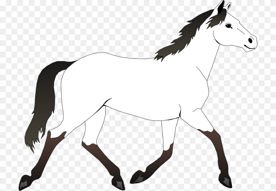 Horse Head Clip Art Design, Animal, Mammal, Colt Horse, Person Free Png Download