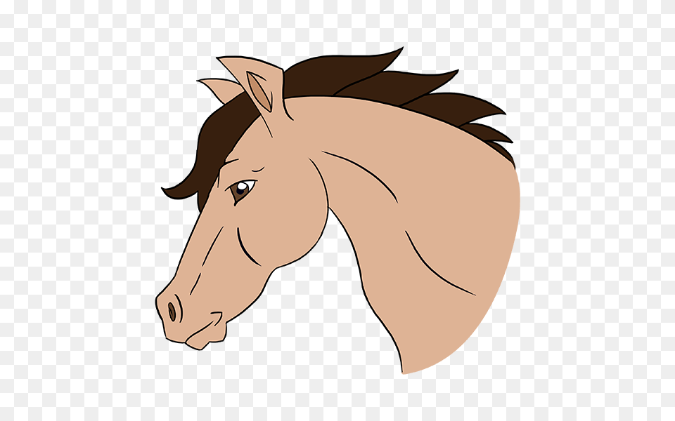 Horse Head Clipart, Animal, Colt Horse, Mammal, Face Free Png