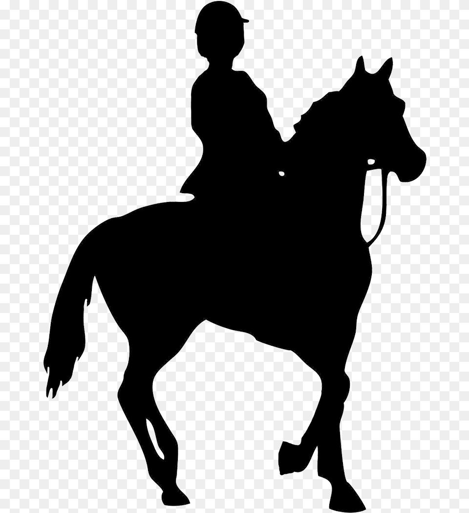 Horse Head Horse Riding, Silhouette, Adult, Male, Man Png