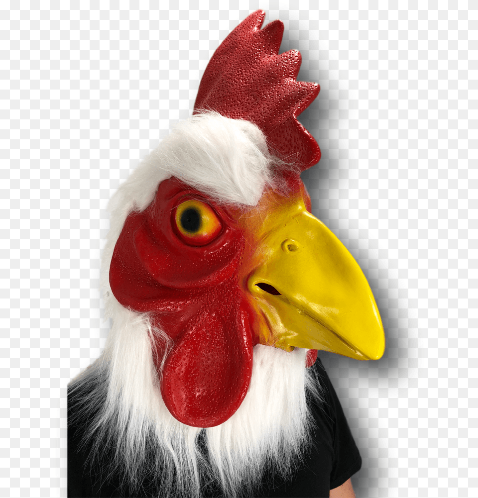 Horse Head Mask, Animal, Beak, Bird, Adult Free Png