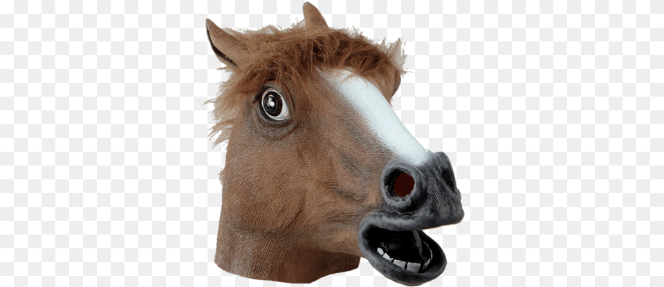 Horse Head Mask, Snout, Animal, Mammal, Colt Horse Png Image