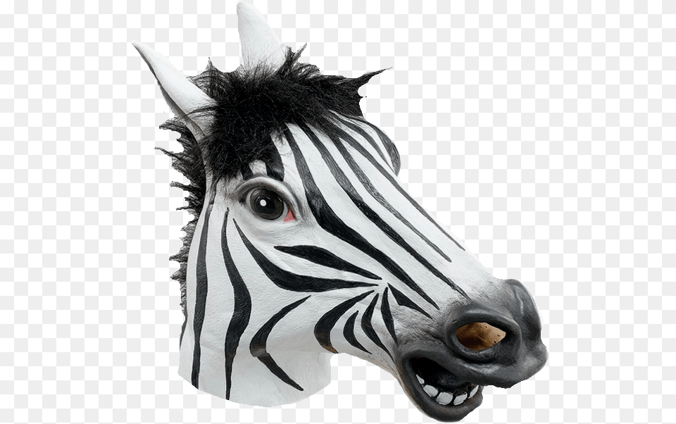 Horse Head Mask Rubber Zebra Mask, Animal, Mammal, Wildlife Free Png