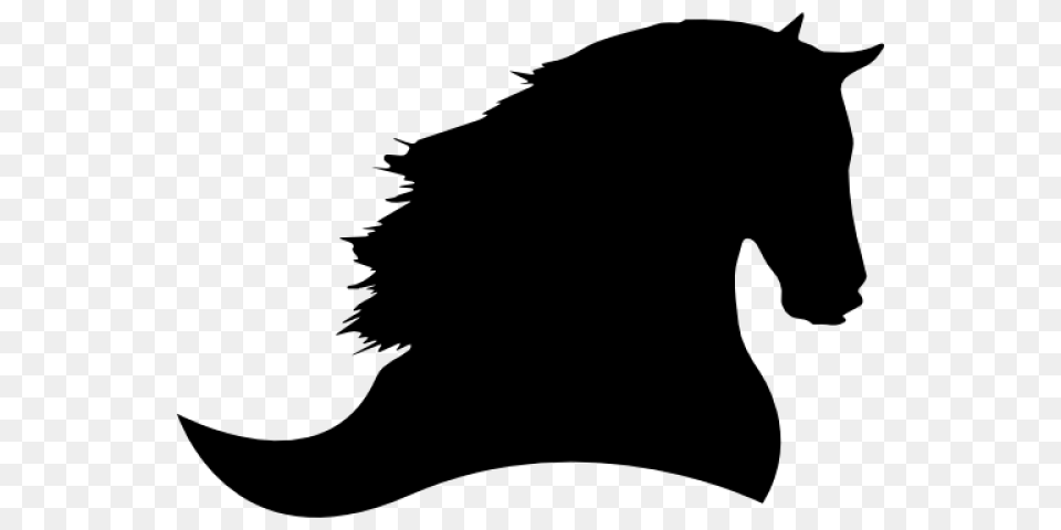 Horse Head Silhouette, Gray Png