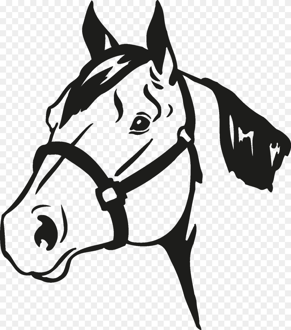 Horse Head Silhouette Horse 4 H Logo, Stencil, Animal, Baby, Mammal Free Transparent Png