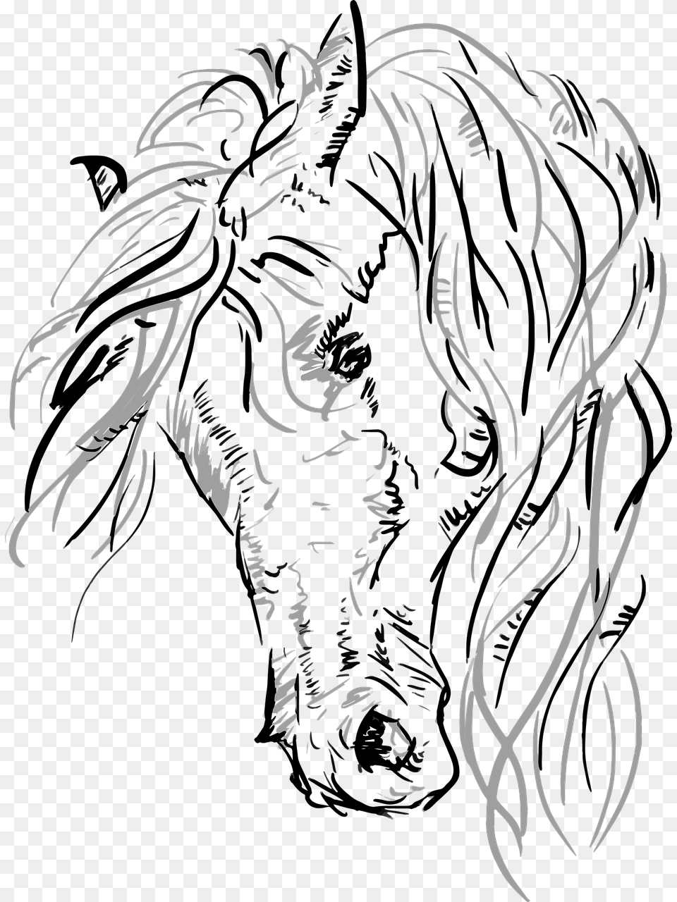 Horse Head Vector, Adult, Female, Person, Woman Png Image