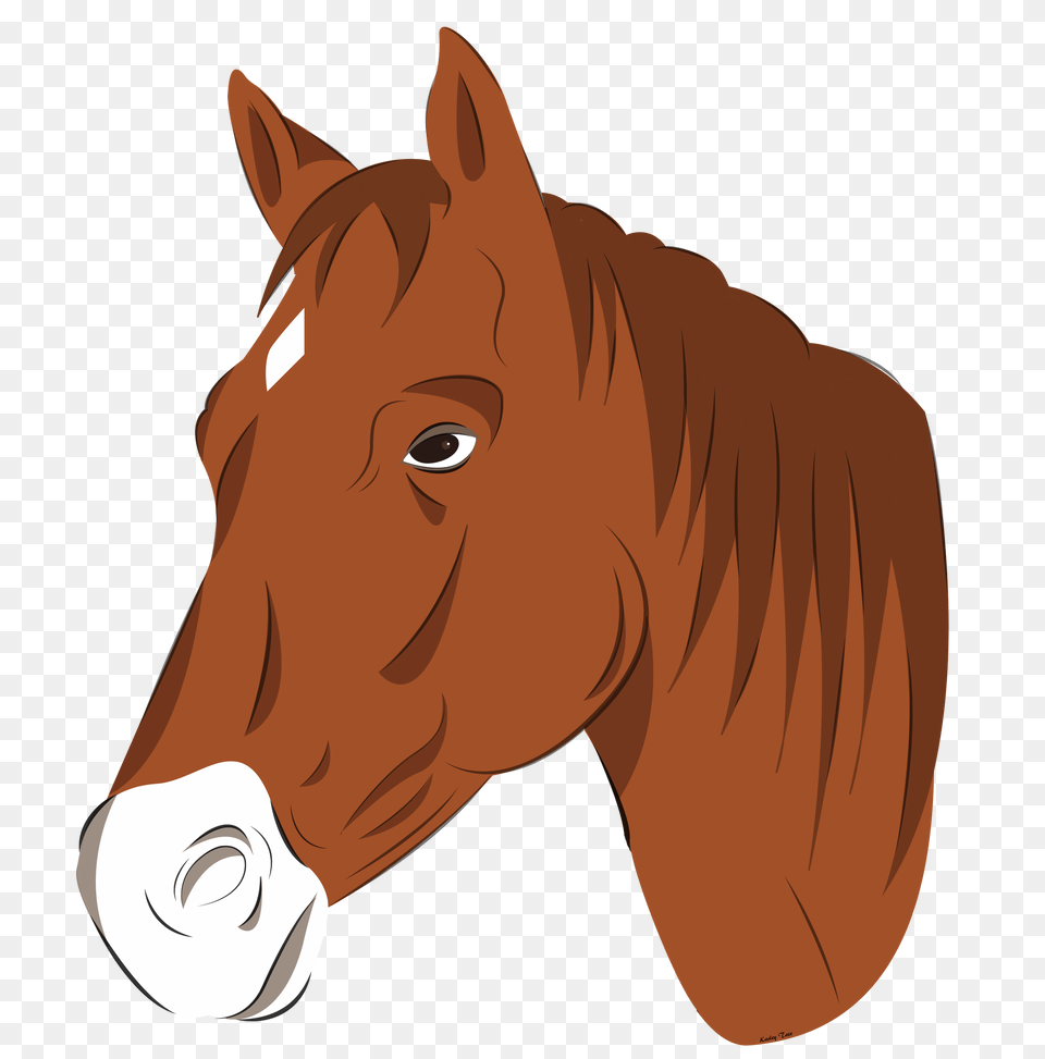 Horse Head Vector, Adult, Man, Male, Person Free Png