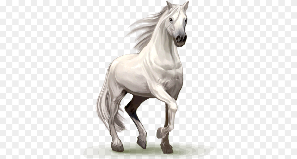 Horse Horse, Animal, Mammal, Stallion, Andalusian Horse Free Transparent Png