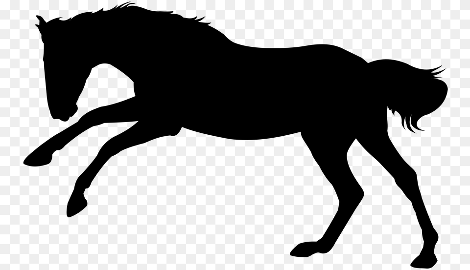 Horse Horse Gallop Gallop Animal Stallion Animated Horse Silhouette, Gray Png