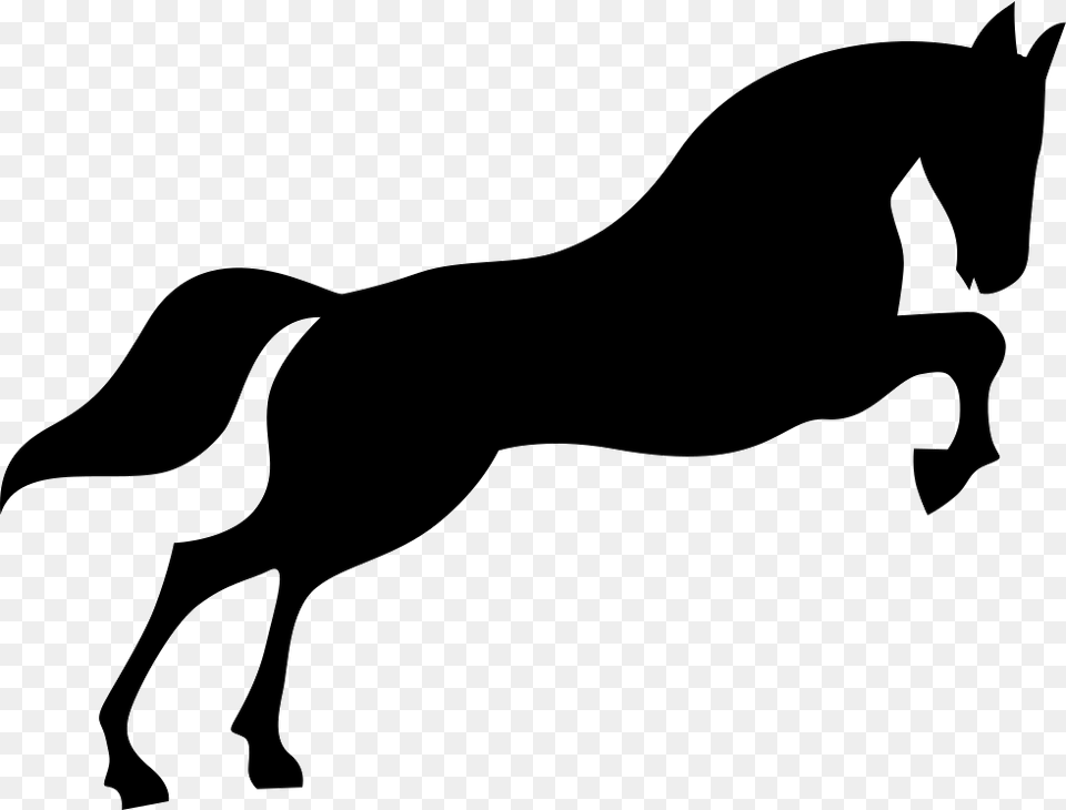 Horse Horse Icons, Silhouette, Stencil, Animal, Mammal Free Png