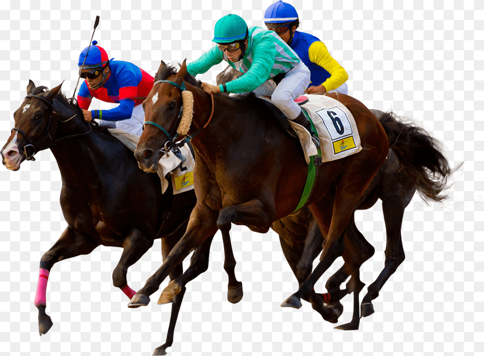 Horse Horse Racing Flat Racing, Adult, Male, Man, Person Free Png Download