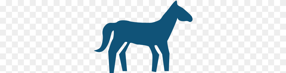 Horse Icon Animal Figure, Colt Horse, Mammal, Person Png