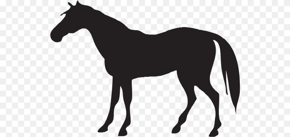 Horse Icon Horse And Cow Silhouette, Animal, Colt Horse, Mammal, Stallion Free Transparent Png