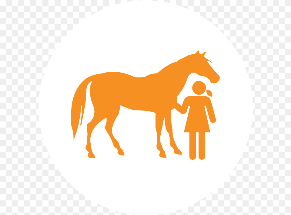 Horse Icon Small Horse Silhouette, Animal, Colt Horse, Mammal, Baby Free Png