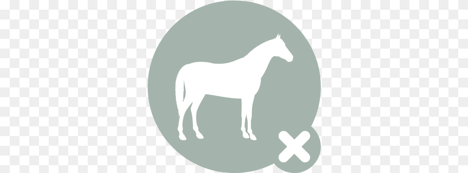 Horse Icon X Check Hook, Animal, Mammal, Colt Horse, Logo Free Png