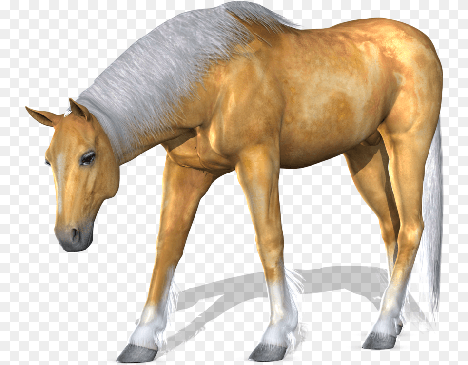 Horse Image 3d Horse, Animal, Colt Horse, Mammal Png