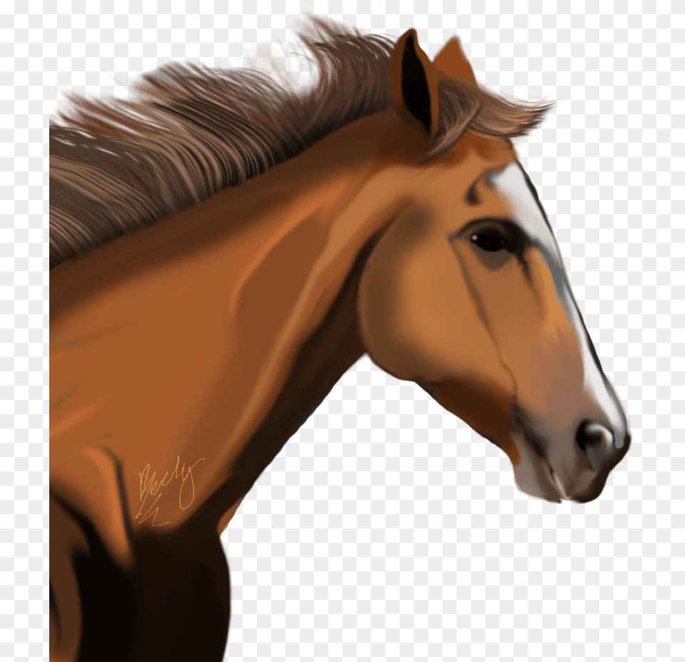 Horse Image Picture Horse Head Transparent Clipart, Animal, Colt Horse, Mammal, Face Free Png Download