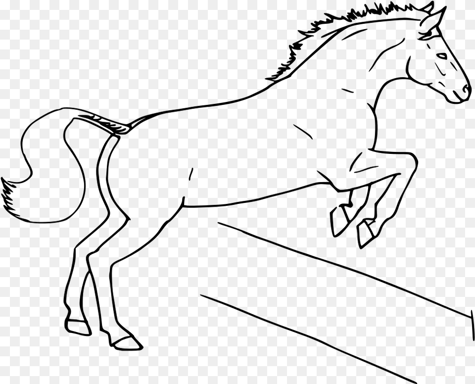 Horse Jumping Fence Draw A Horse Jumping, Gray Free Transparent Png